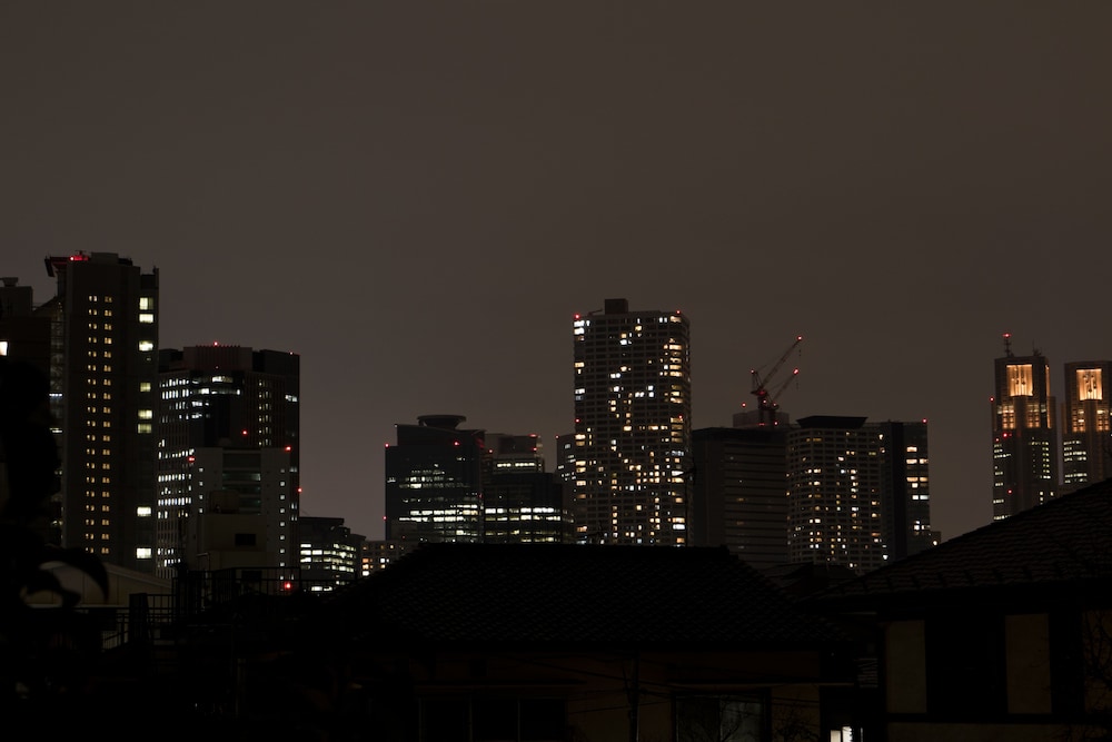 デラックス ルーム (201) シティ ビュー0 | ミニホテル新宿フロント 201