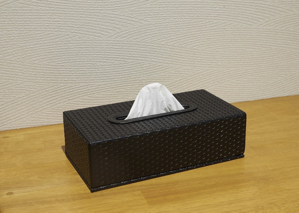 プライベートバケーションルーム (4名部屋) 客室の設備とサービス1 | イキダネ レジデンシャル ホテル 墨田京島