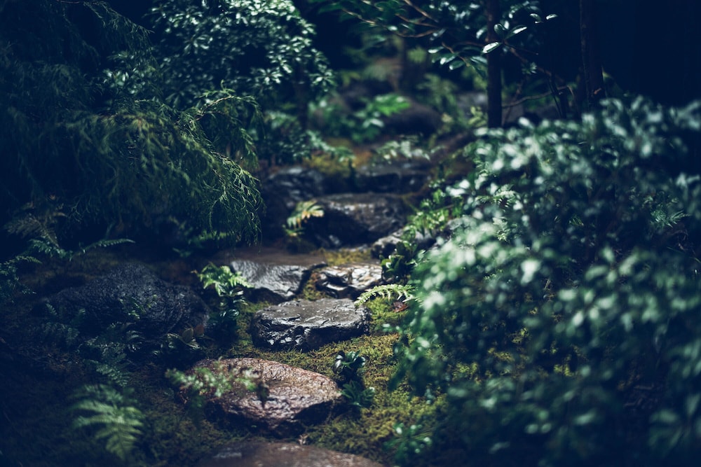 一棟貸し ガーデン ビュー0 | ノボル家 烏丸五条