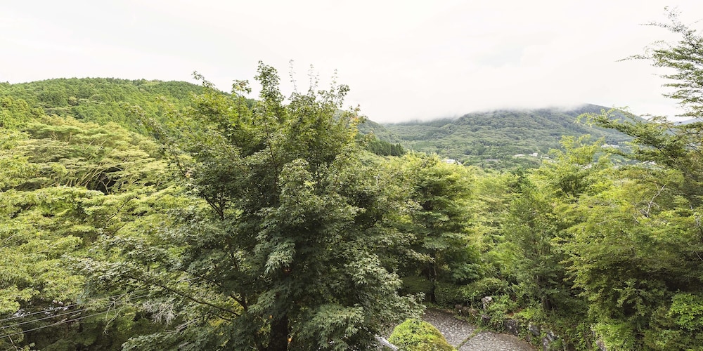 アパートメント (B) 部屋からの景観0 | スプリングスヴィレッジ箱根 グランピングリゾート