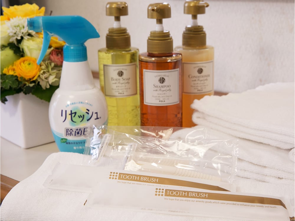 エコノミー ダブルルーム セミダブルベッド 1 台 禁煙 バスルームの設備0 | 平和台ホテル 5