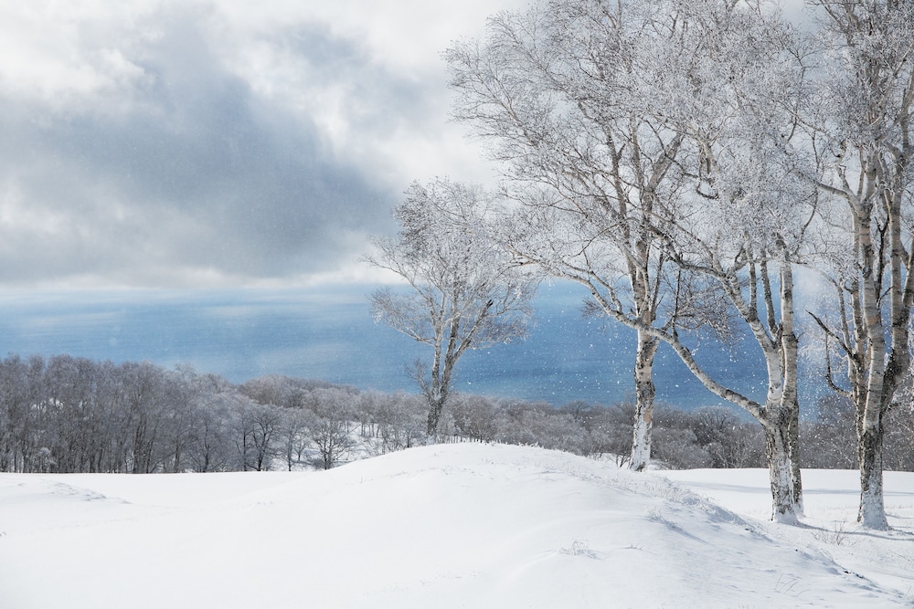 施設の敷地1 | ザ・ウィンザーホテル洞爺 リゾート&スパ by IHG 施設の敷地1 | ザ・ウィンザーホテル洞爺 リゾート&スパ by IHG