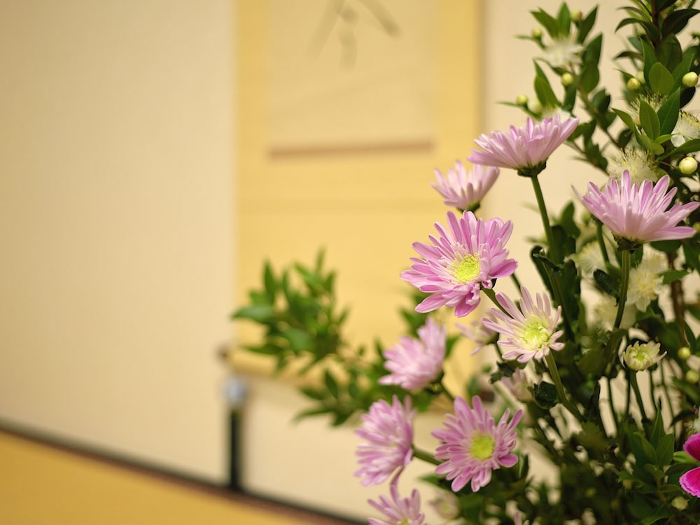 和室 禁煙 (10 Tatami Mats, Check-in by 8 PM) 客室1 | 有馬温泉 月光園 游月山荘