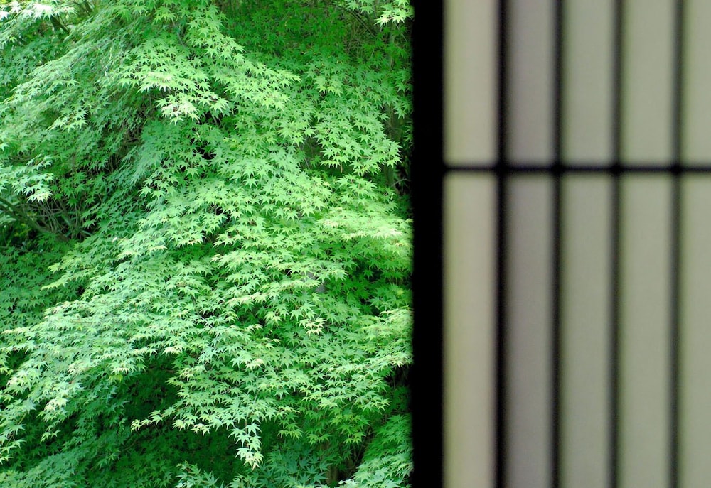 四季の移ろいと山を望む掘りごたつのある空間 (山の菴･和室) 禁煙 客室3 | 旅館 すみや亀峰菴