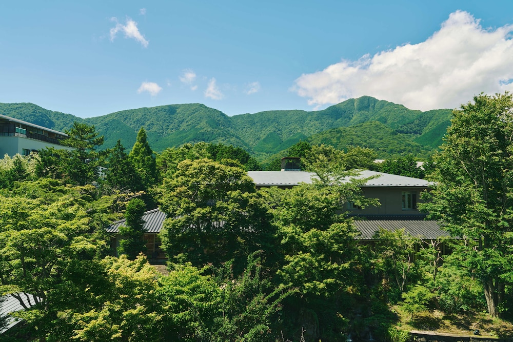 温泉内風呂付洋室 ガーデンビュー [禁煙] 部屋からの景観4 | 箱根翡翠