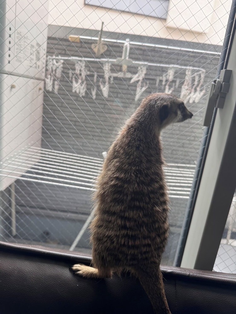 デザイナーズ アパートメント - ペット宿泊可（別途追加） リビング エリア18 | Poralis 101