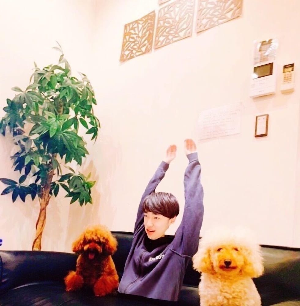 デザイナーズ アパートメント - ペット宿泊可（別途追加） リビング エリア5 | Poralis 101