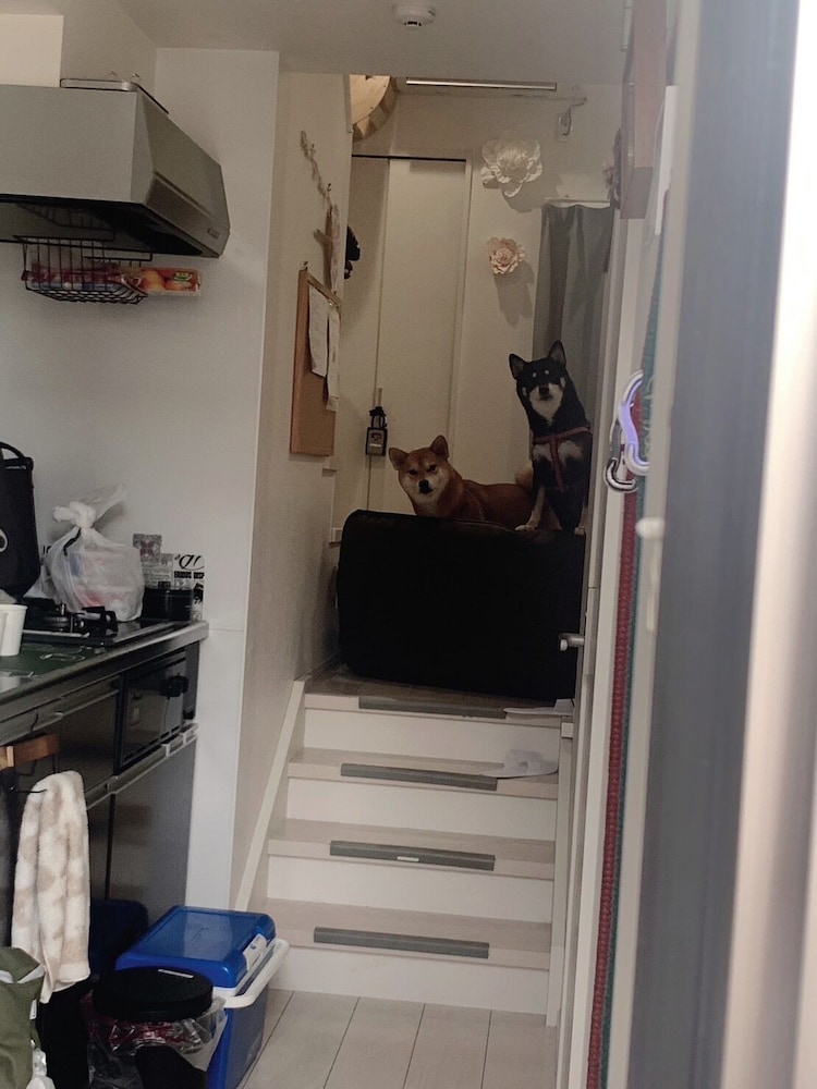 デザイナーズ アパートメント - ペット宿泊可（別途追加） リビング エリア14 | Poralis 101