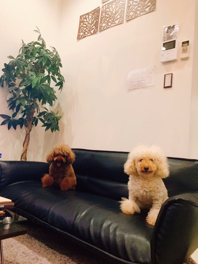 デザイナーズ アパートメント - ペット宿泊可（別途追加） リビング エリア6 | Poralis 101