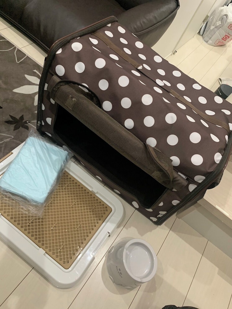 デザイナーズ アパートメント - ペット宿泊可（別途追加） 客室の設備とサービス9 | Poralis 101