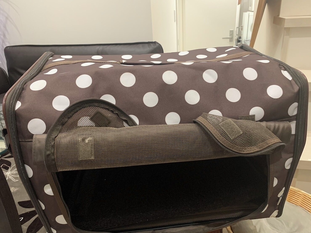 デザイナーズ アパートメント - ペット宿泊可（別途追加） 客室の設備とサービス13 | Poralis 101