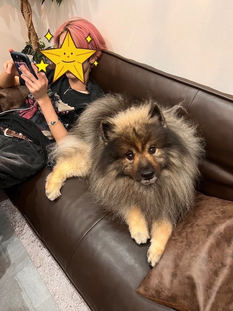 デザイナーズ アパートメント - ペット宿泊可（別途追加） リビング エリア20 | Poralis 101