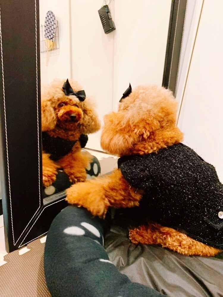 デザイナーズ アパートメント - ペット宿泊可（別途追加） リビング エリア7 | Poralis 101