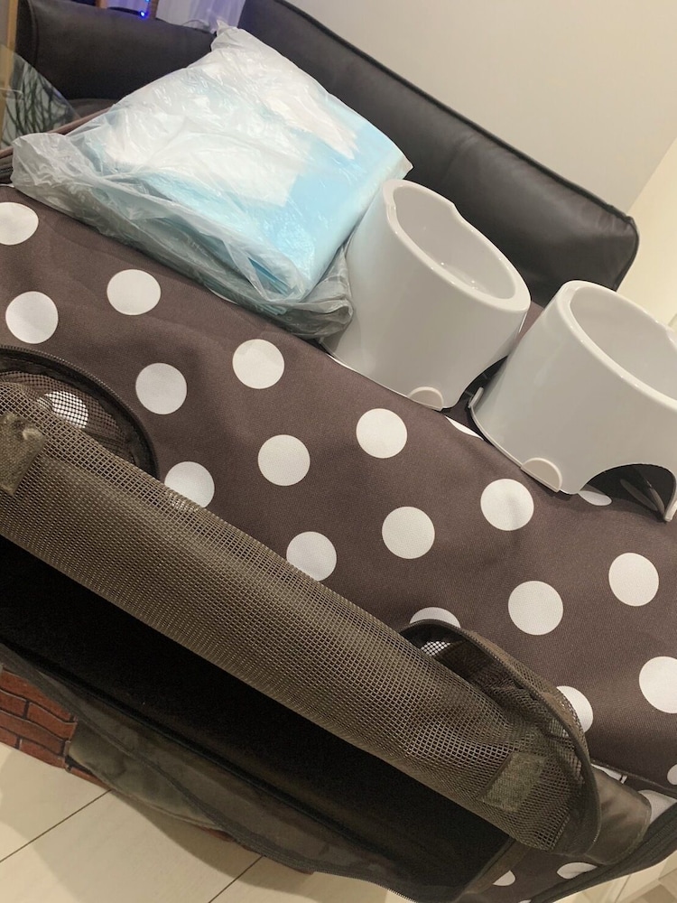 デザイナーズ アパートメント - ペット宿泊可（別途追加） 客室の設備とサービス10 | Poralis 101