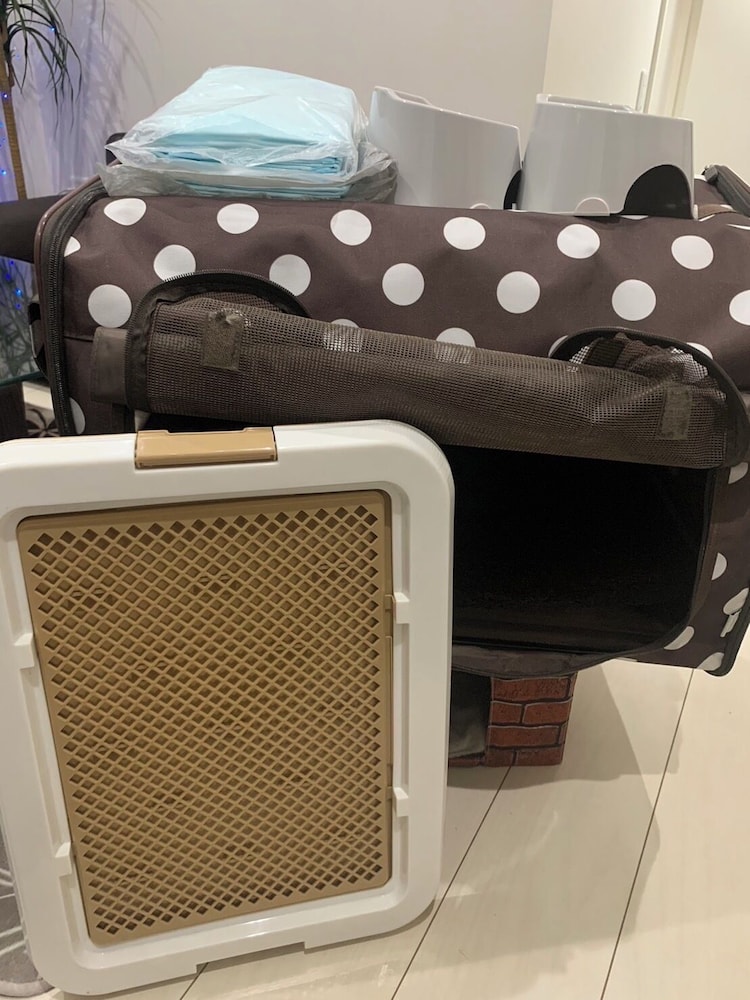 デザイナーズ アパートメント - ペット宿泊可（別途追加） 客室の設備とサービス11 | Poralis 101