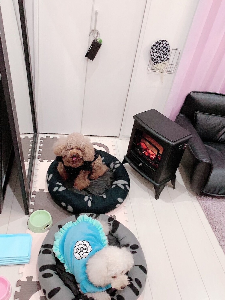 デザイナーズ アパートメント - ペット宿泊可（別途追加） リビング エリア10 | Poralis 101