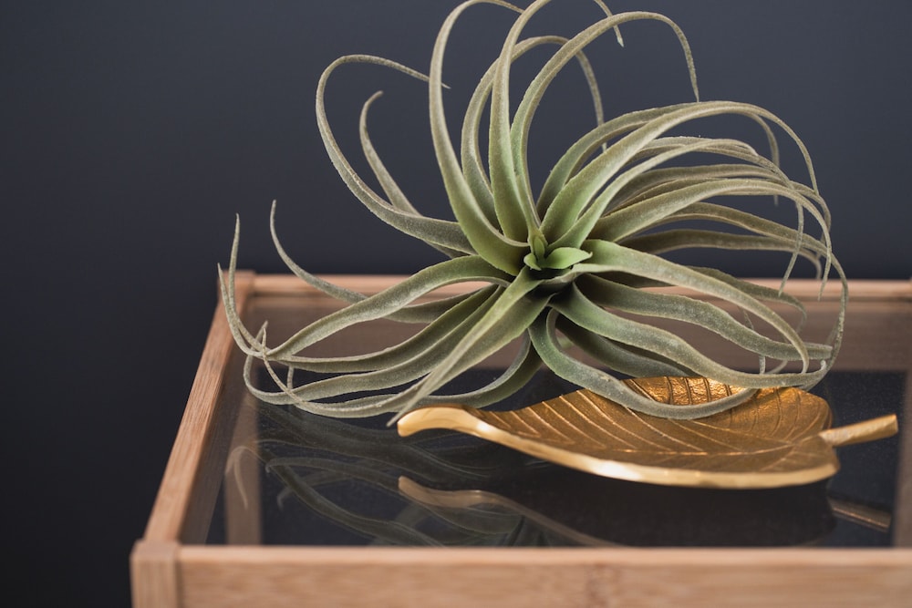 内装1 | INFINITY HOTEL -HIGAWA-