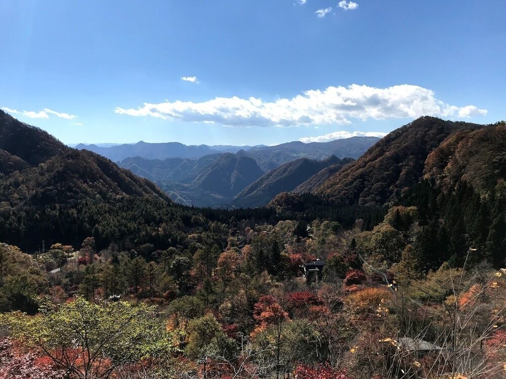 一棟貸し マウンテン ビュー0 | A villa in the forest in Minamikaruizawa