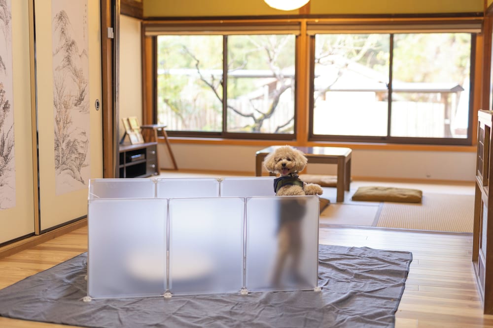 ペット同伴可1 | Vacation rentals -sui- ペット同伴可1 | Vacation rentals -sui-