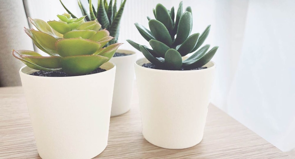 スタジオ バルコニー付 601号室 客室7 | おうちホテル宝町