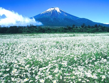 スポーツイン青山通り