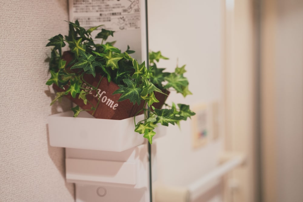 内装1 | Kyobashi Base 内装1 | Kyobashi Base