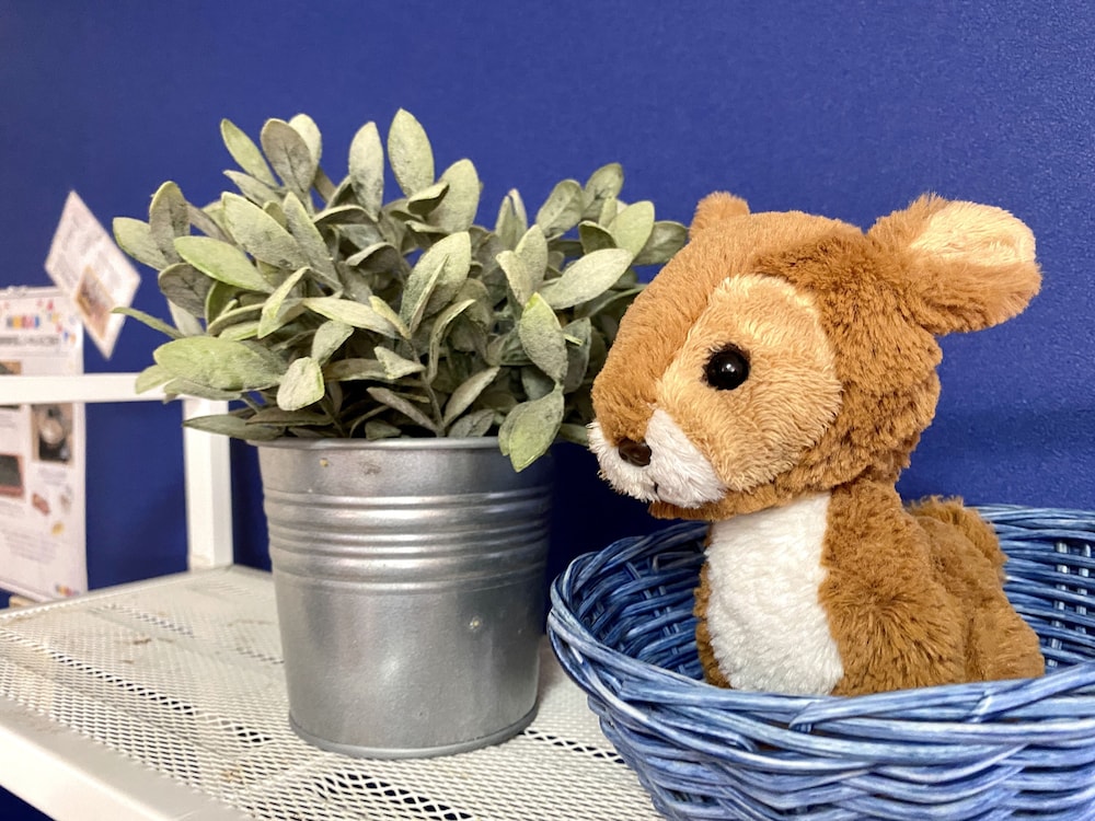 アパートメント (402) 客室の設備とサービス0 | NOMAD松戸宿 テイクファイブ