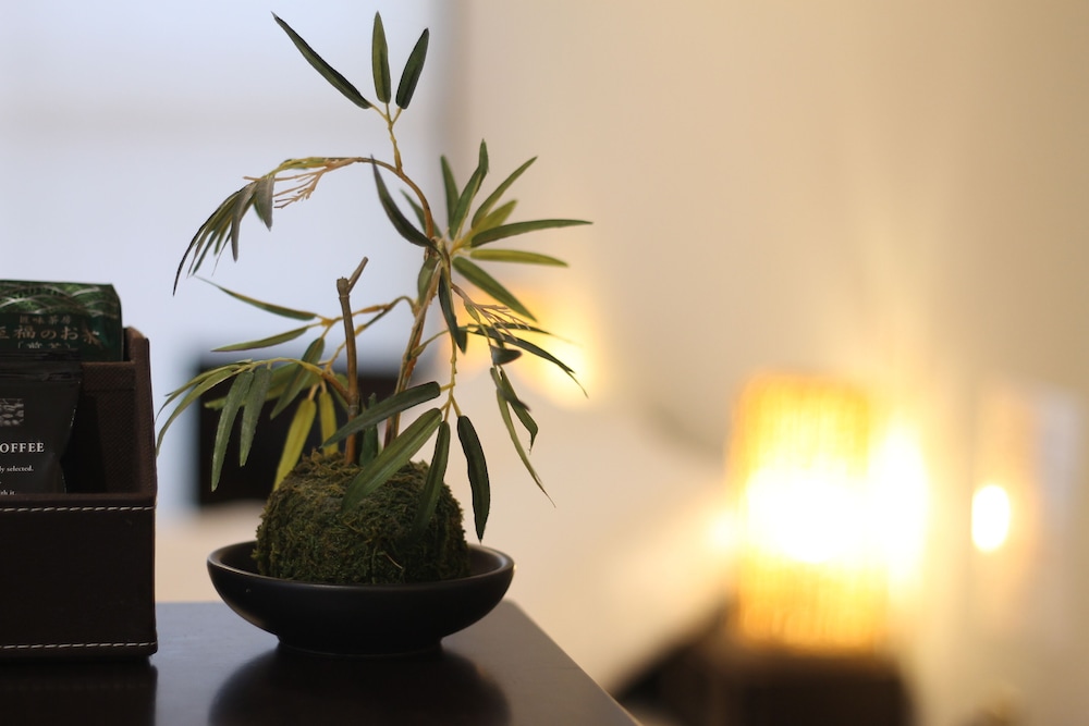 コンドミニアム 1 ベッドルーム (701) 客室の設備とサービス8 | 第 3 ひまわりビル 701