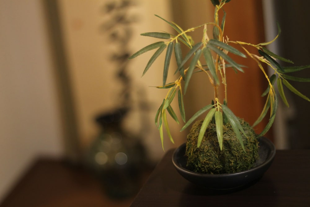 コンドミニアム 1 ベッドルーム (701) 客室の設備とサービス7 | 第 3 ひまわりビル 701