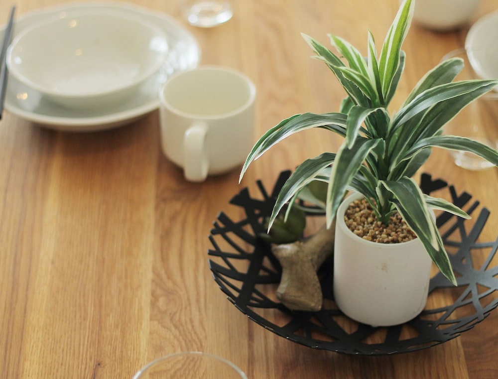 エクスクルーシブ スタジオ シティビュー (901) 客室の設備とサービス3 | b hotel 広島平和大通り