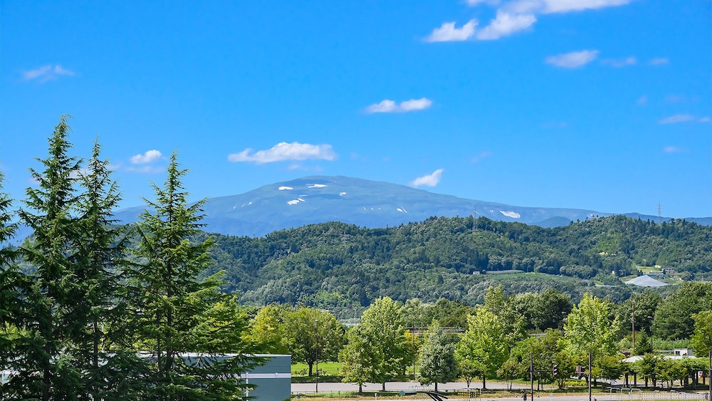 角部屋ゆったり和洋室 禁煙 客室3 | ホテルシンフォニーアネックス