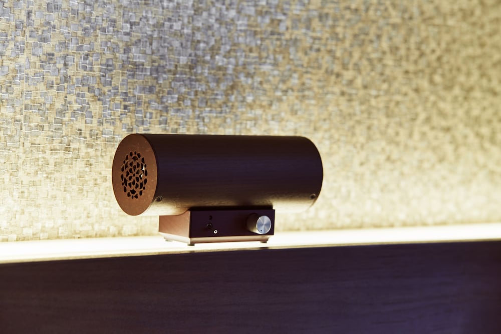 デラックス キングルーム 喫煙 (電子たばこのみ可) 客室の設備とサービス0 | ザ・ゲートホテル両国 by HULIC