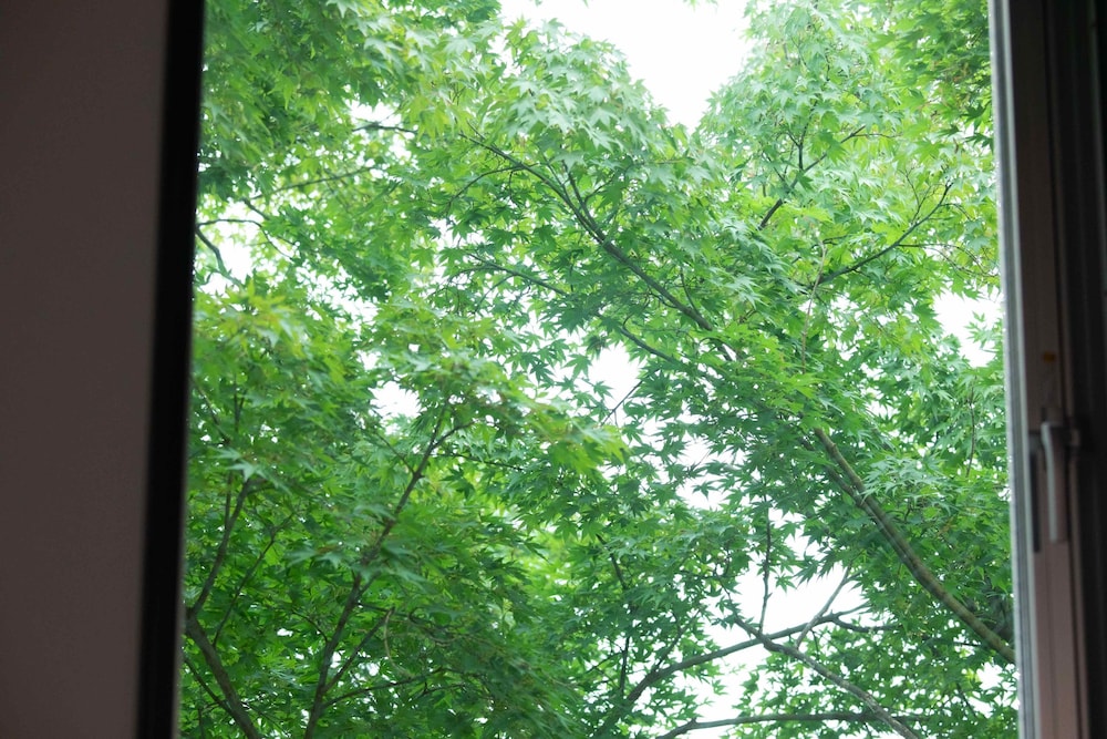 バンクスーペリア (3) 部屋からの景観0 | ホテル軽井沢クロス