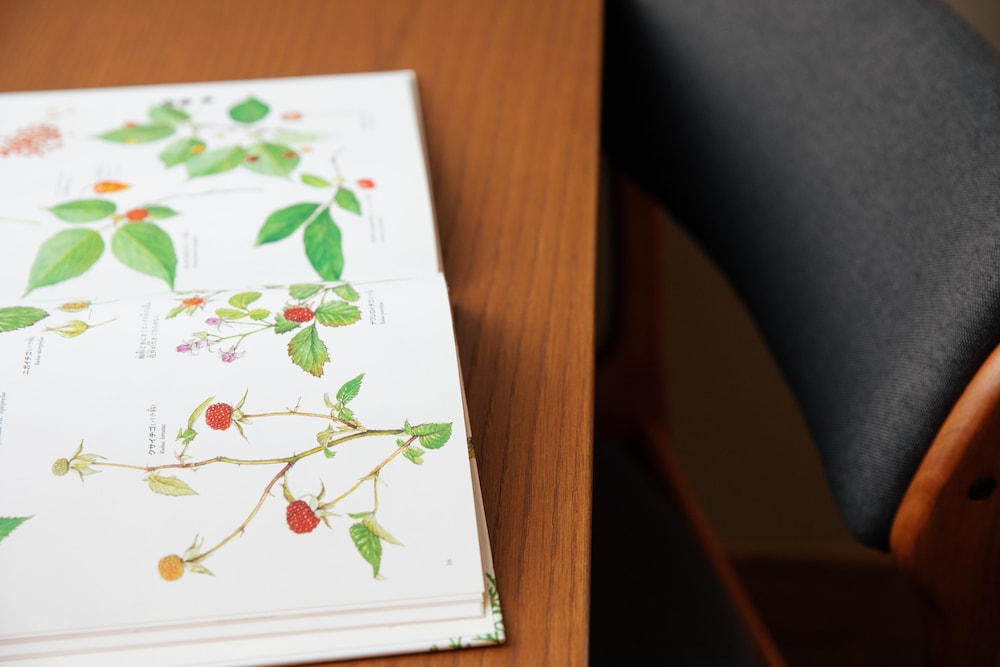 アジアオリエンタル (2) 客室7 | ホテル軽井沢クロス