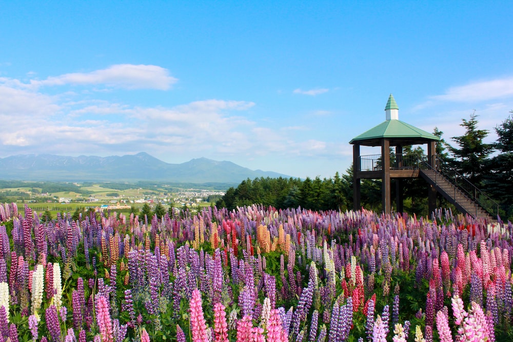観光スポット1 | 石邸 富良野 観光スポット1 | 石邸 富良野