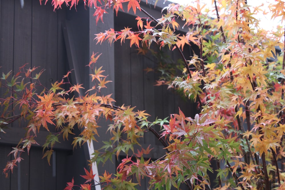 内装1 | 石邸 富良野 内装1 | 石邸 富良野