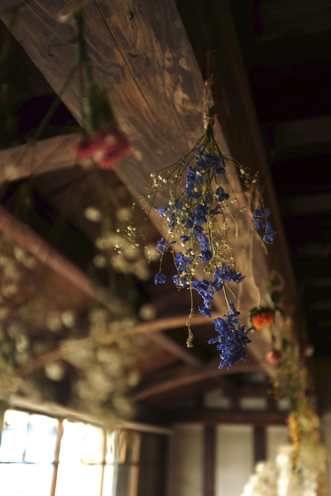 内装の詳細1 | Hostel & Bar CAMOSIBA 内装の詳細1 | Hostel & Bar CAMOSIBA