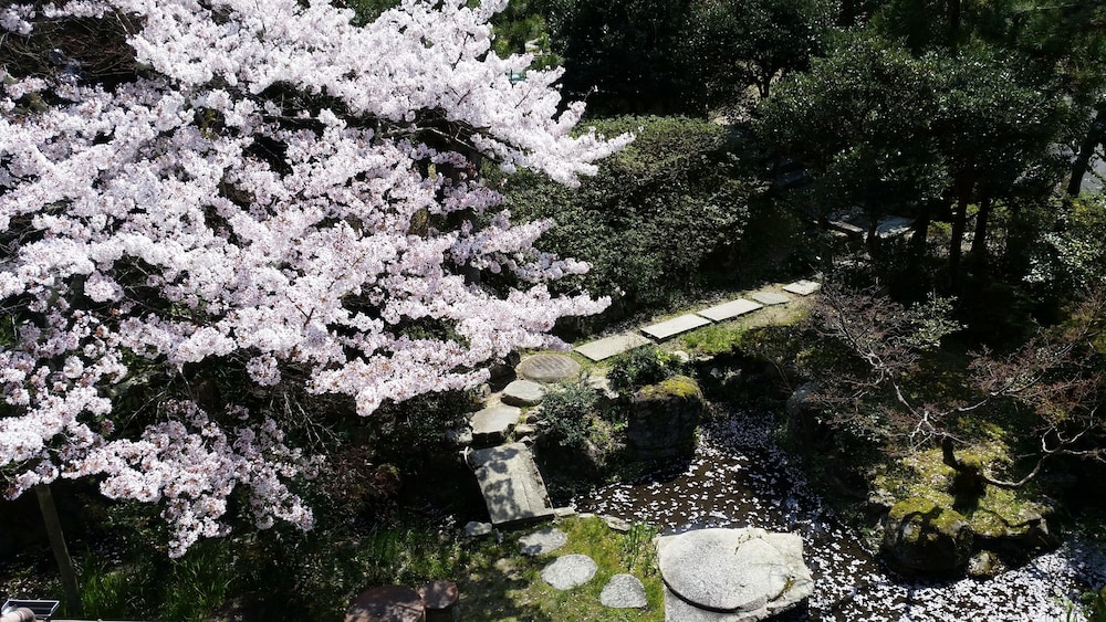 スーペリア 4 人部屋 ベッド (複数台) 共用バスルーム ガーデン ビュー0 | あまみ温泉 南天苑