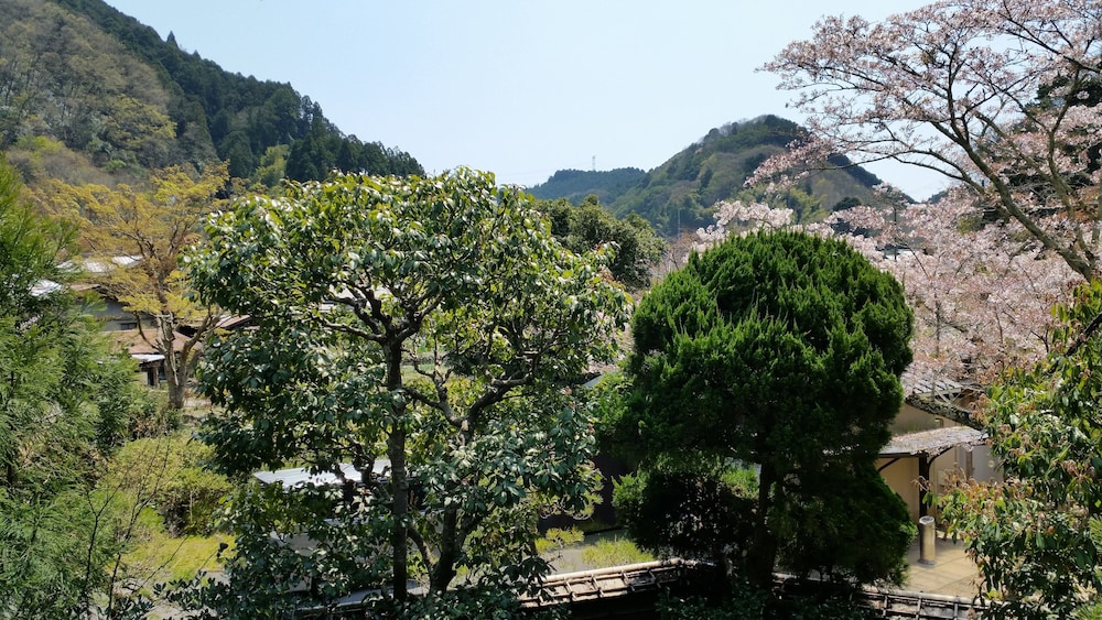 エコノミー和室ツイン (共同バスルーム) 客室2 | あまみ温泉 南天苑