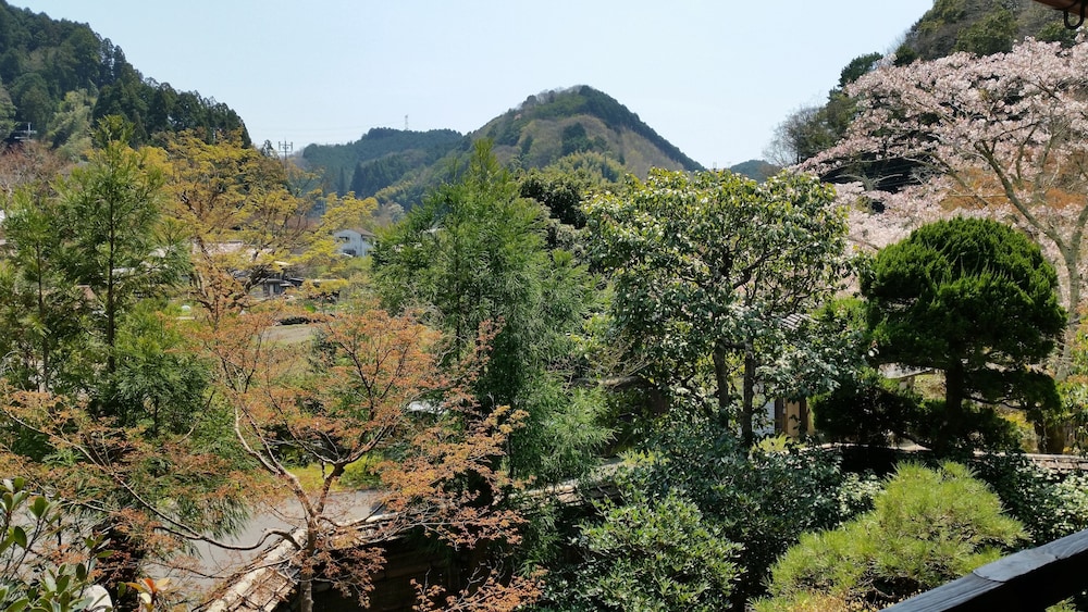 和室3-4人 (共同バスルーム) マウンテン ビュー0 | あまみ温泉 南天苑