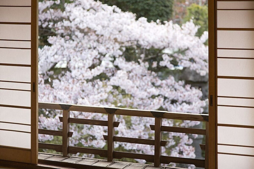 スーペリア 4 人部屋 ベッド (複数台) 共用バスルーム 部屋からの景観0 | あまみ温泉 南天苑