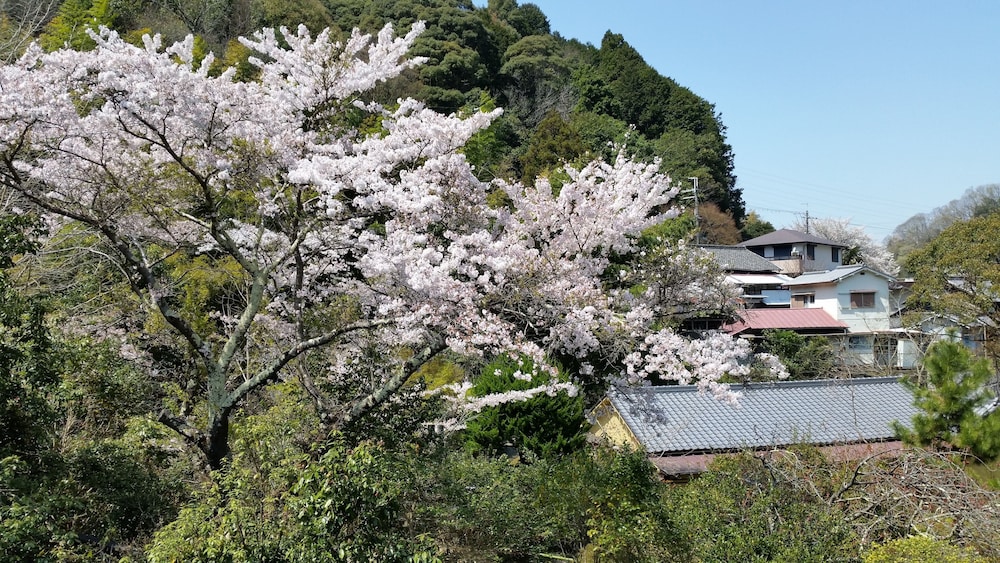 ファミリー 4 人部屋 ベッド (複数台) 共用バスルーム マウンテンビュー 客室1 | あまみ温泉 南天苑