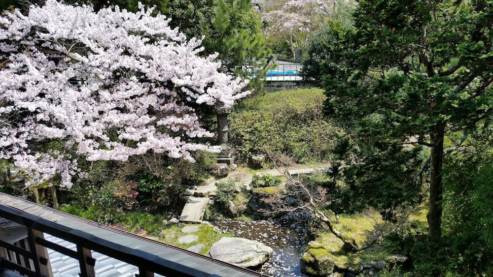 スーペリア ルーム ベッド (複数台) 共用バスルーム ガーデン ビュー0 | あまみ温泉 南天苑