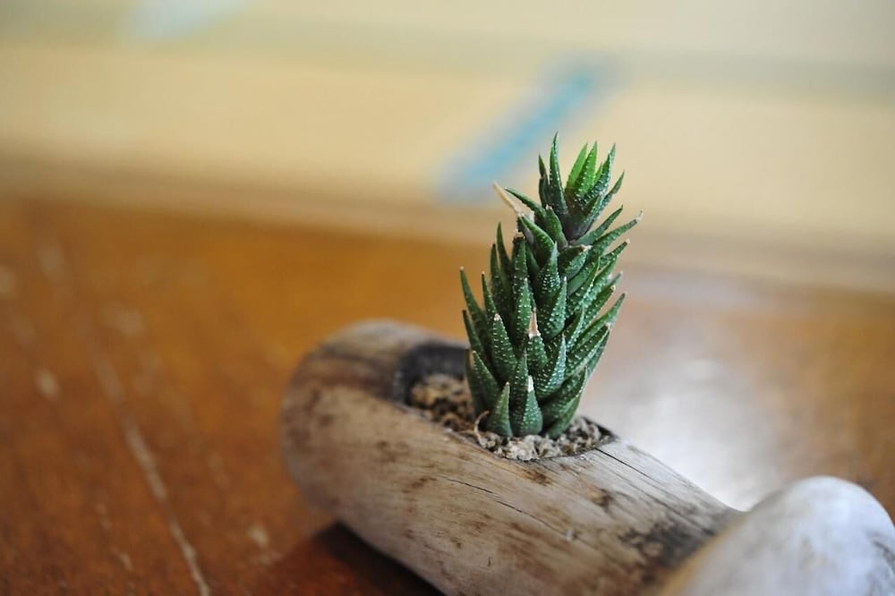 内装1 | 磯原シーサイドホテル 内装1 | 磯原シーサイドホテル