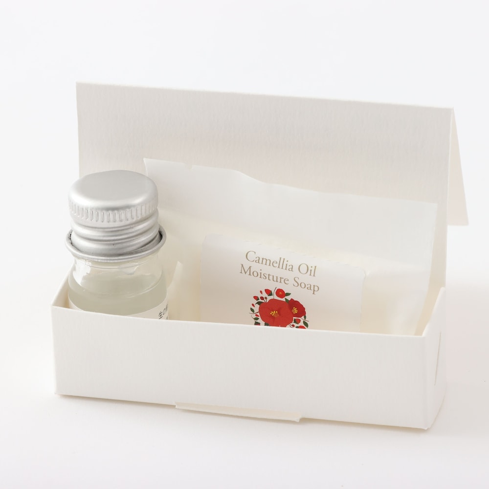 スーペリア シングルサイズベッド 2 台 禁煙 シティビュー 客室4 | ホテル椿山荘東京