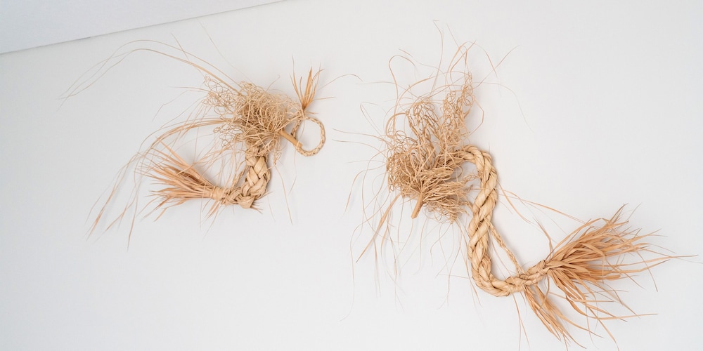 プレミアム プールヴィラ 4 ベッドルーム 禁煙 サウナ 客室6 | ヴィラ コンテ