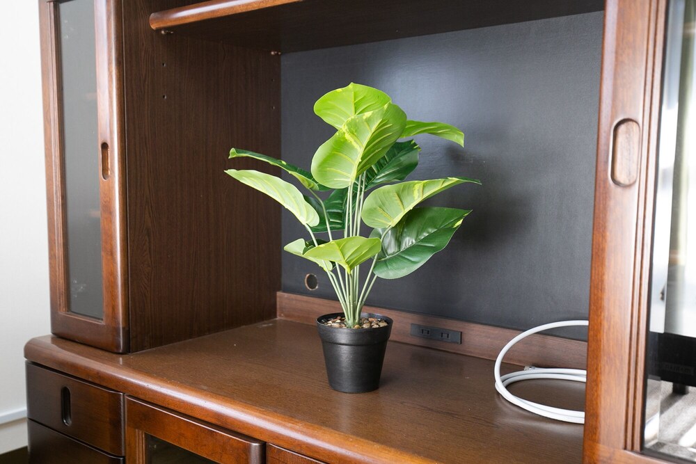 内装1 | Waka 内装1 | Waka