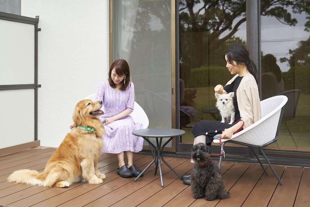 [和美麗Jrスイート]27平米＋専用ドッグラン15平米 禁煙 客室1 | リブマックスリゾート伊豆高原ANNEX