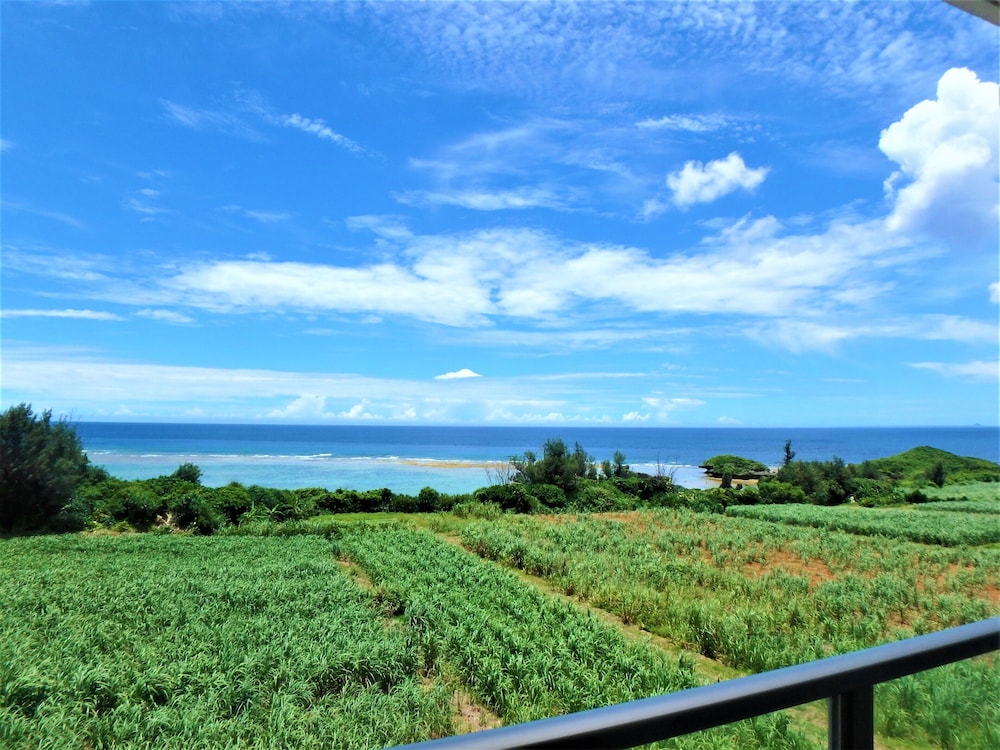 Grand blue 406 禁煙 テラス / パティオ3 | Grand blue 406