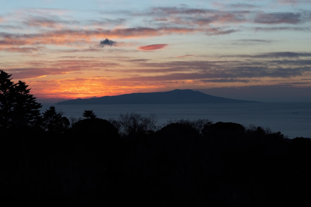 [源泉掛流し露天風呂] オーシャンビュー 2階特別室 バルコニーからの眺望1 | 大室の杜 玉翠 (13 歳以上)